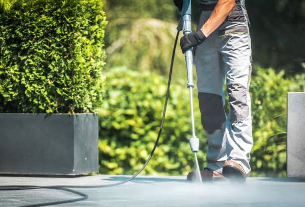 Boat and Dock Cleaning in Camino Tassajara, CA